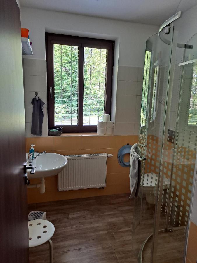 Penzion Na Pohori Olešnice Exterior foto